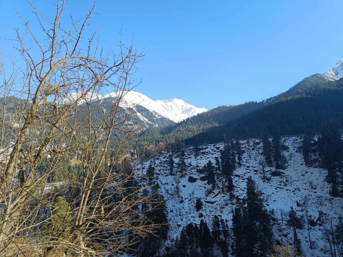 Snow Oak Guest House Kasol Εξωτερικό φωτογραφία